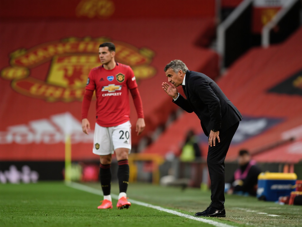 对于苹果用 对于苹果用