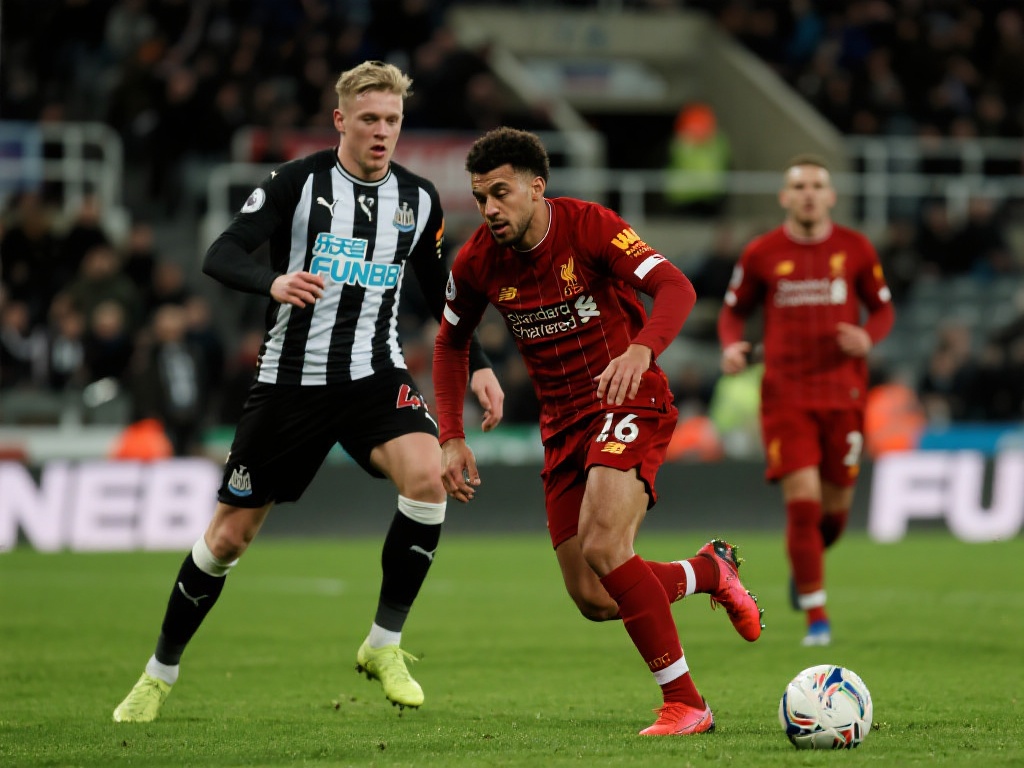 或相关关键 或相关关键